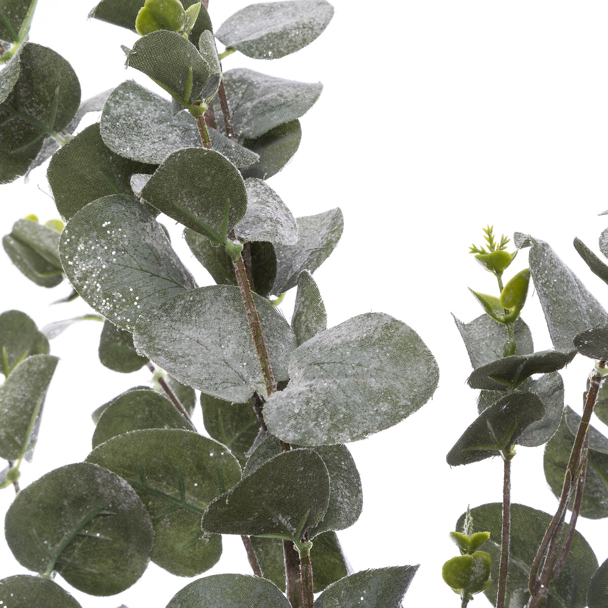 Haste eucalipto flocos 98cm