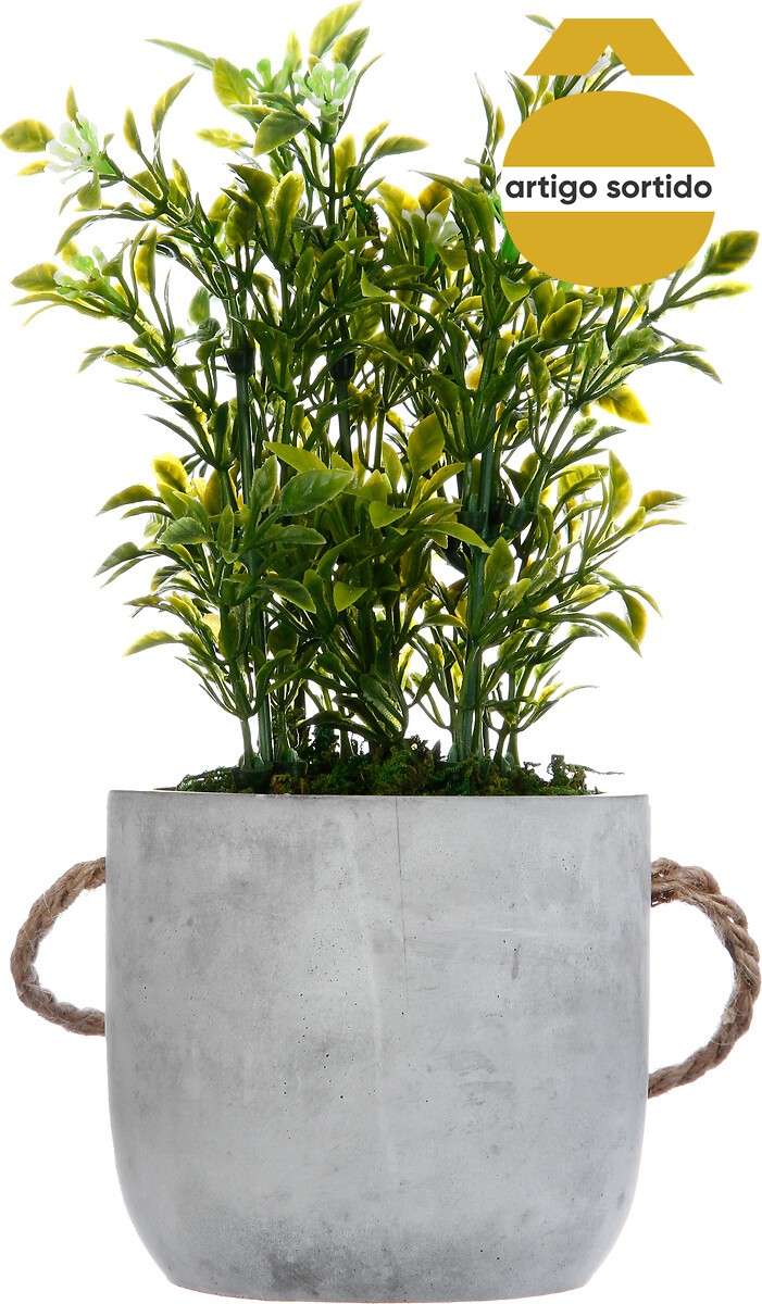 Vaso cimento suspenso com planta 25cm