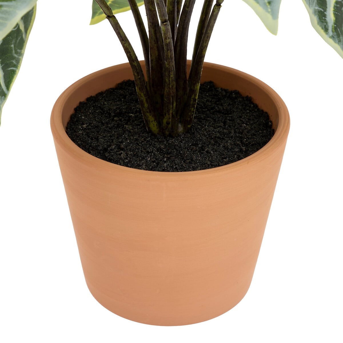 Planta alocasia verde 43cm