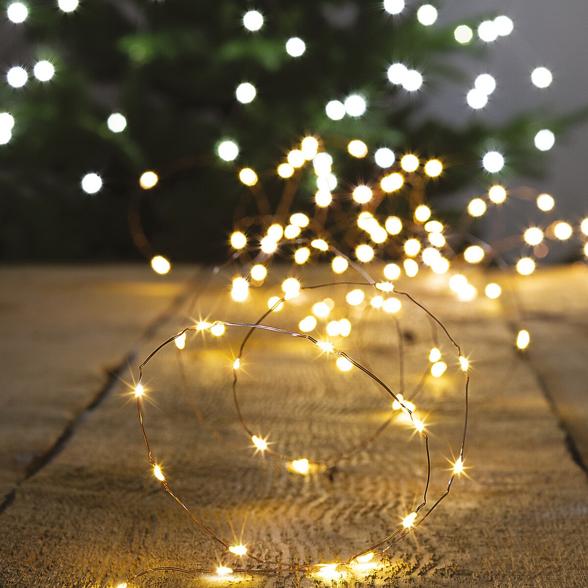 S&eacute;rie de natal branco quente 5M 100LED