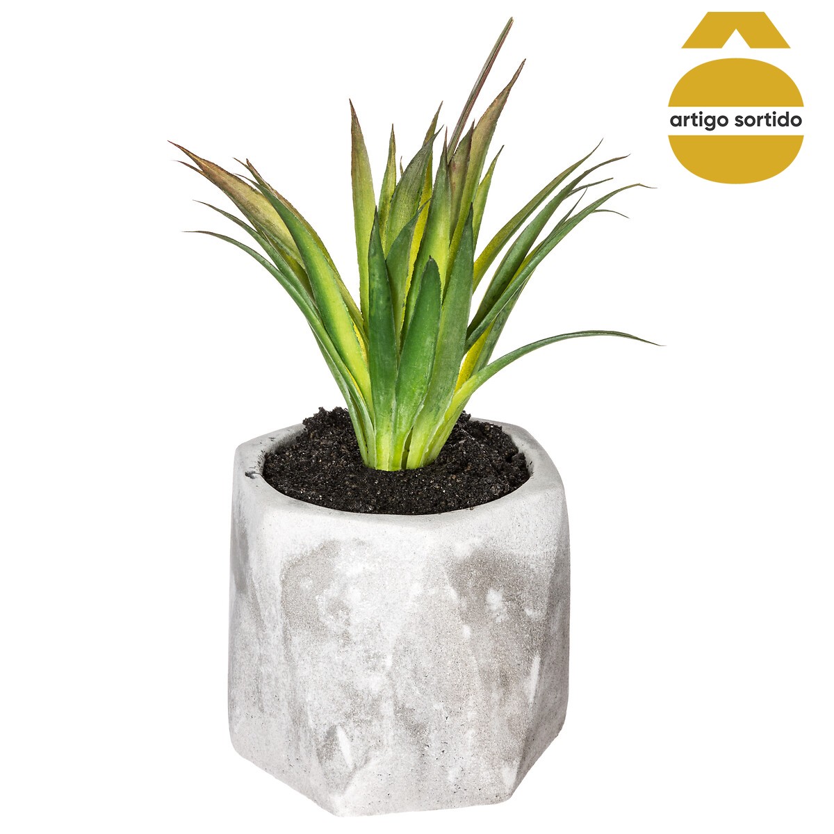 Vaso de cimento com planta 17cm