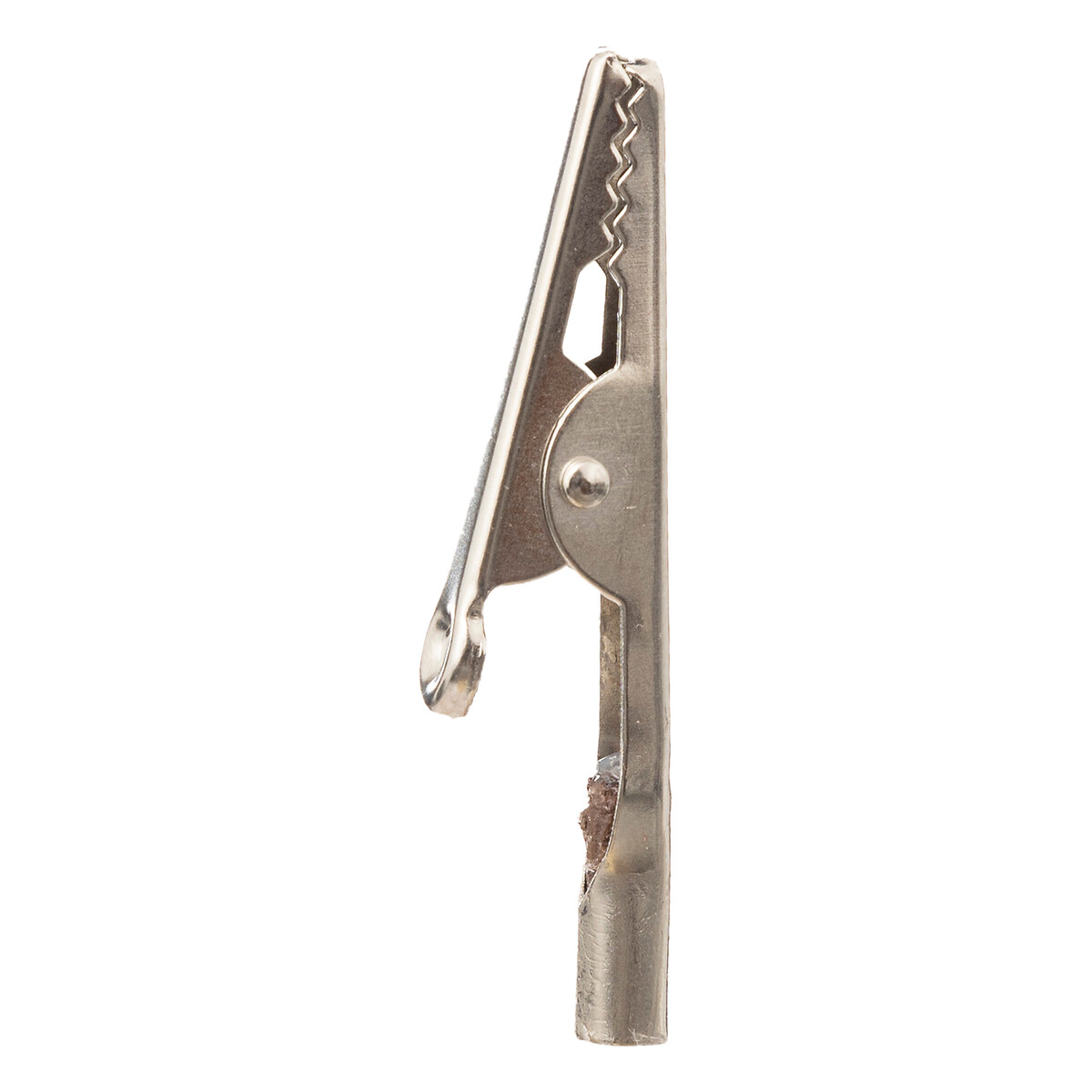 Flor poinsétia bege e dourado com mola