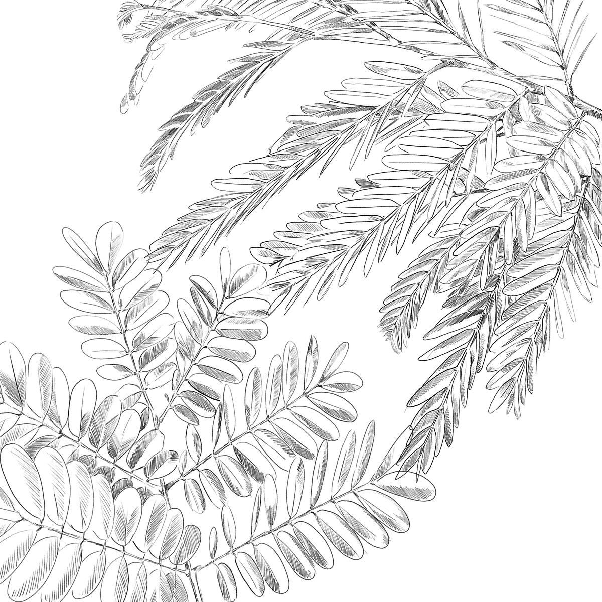 Capa de edred&atilde;o e 2 capas de almofada monstera 220x240cm
