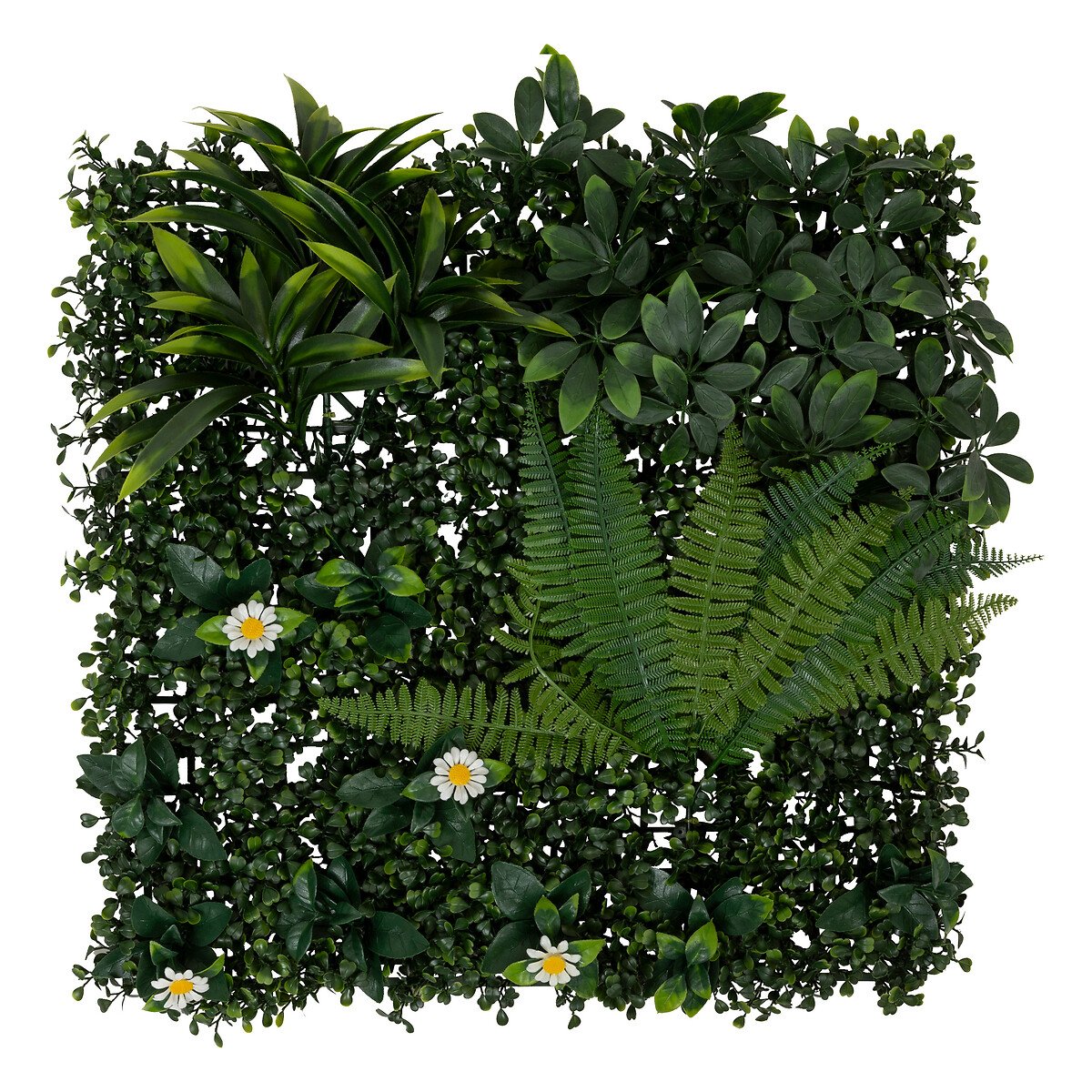 Jardim vertical JUNGLE IZY 50x50cm