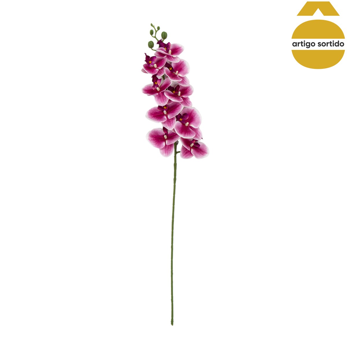 Haste de orqu&iacute;dea com toque natural