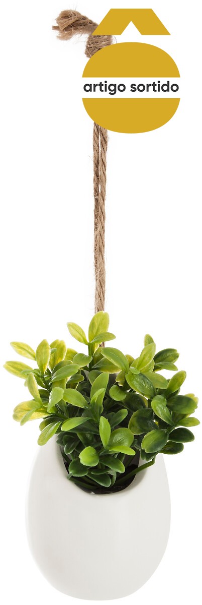 Vaso cer&acirc;mica suspenso com planta 9,5cm