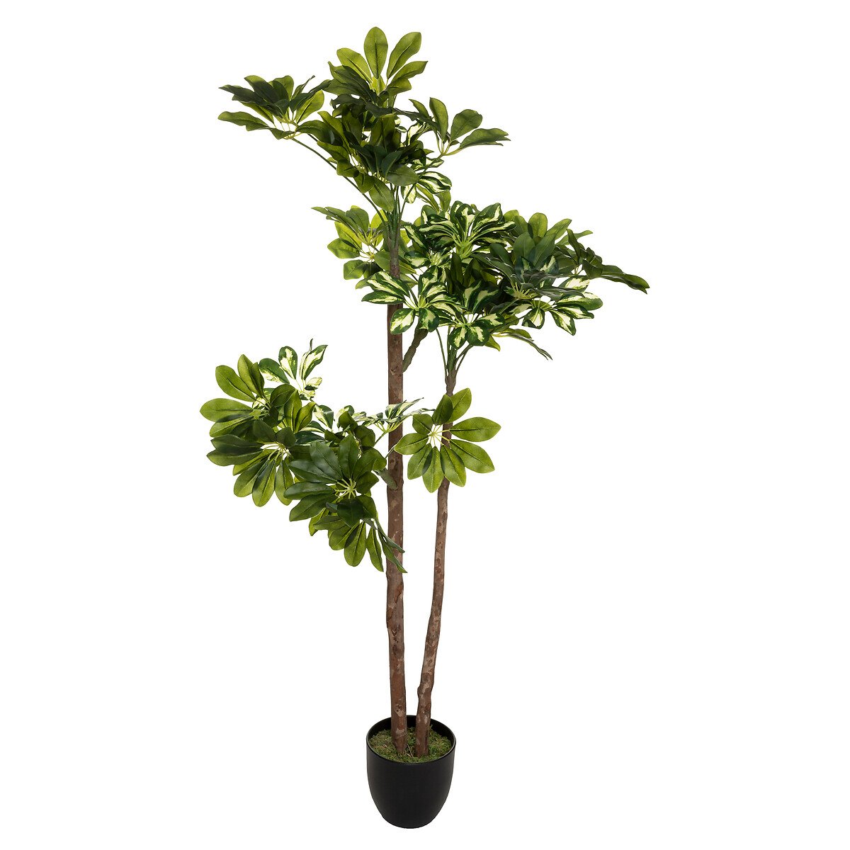 Planta schefflera artficial 130cm
