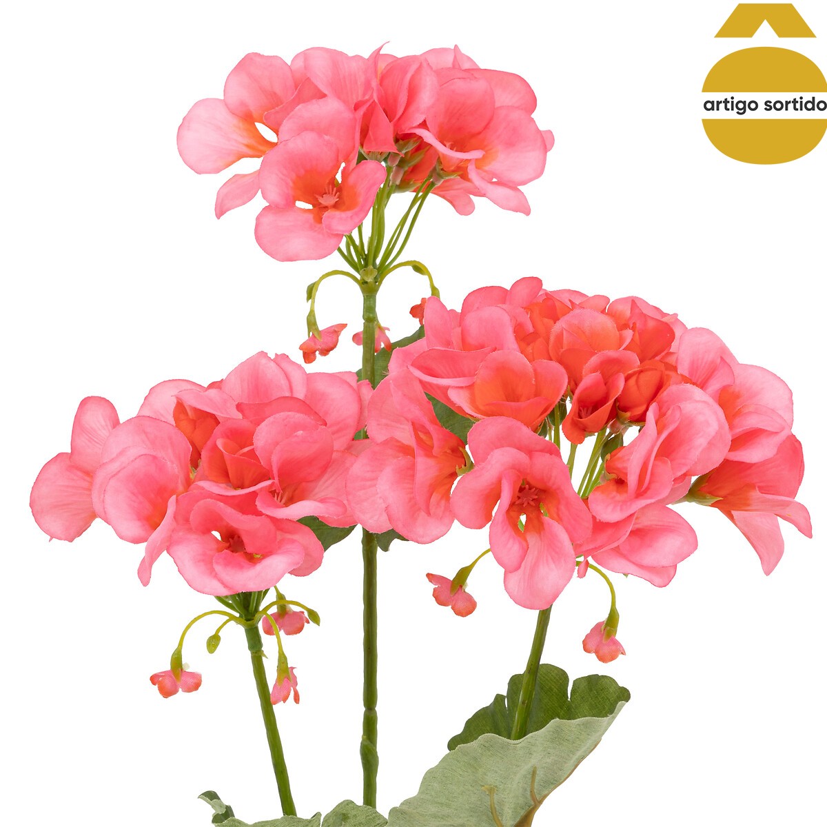 Haste pelargonium 69cm