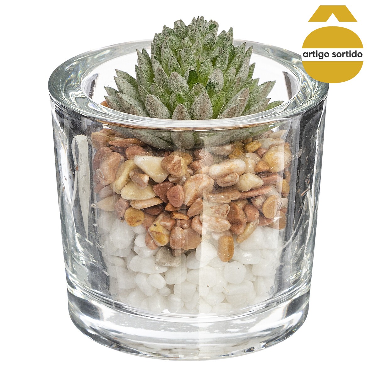 Vaso de vidro com planta 10cm,  Vaso de vidro com planta 10cm