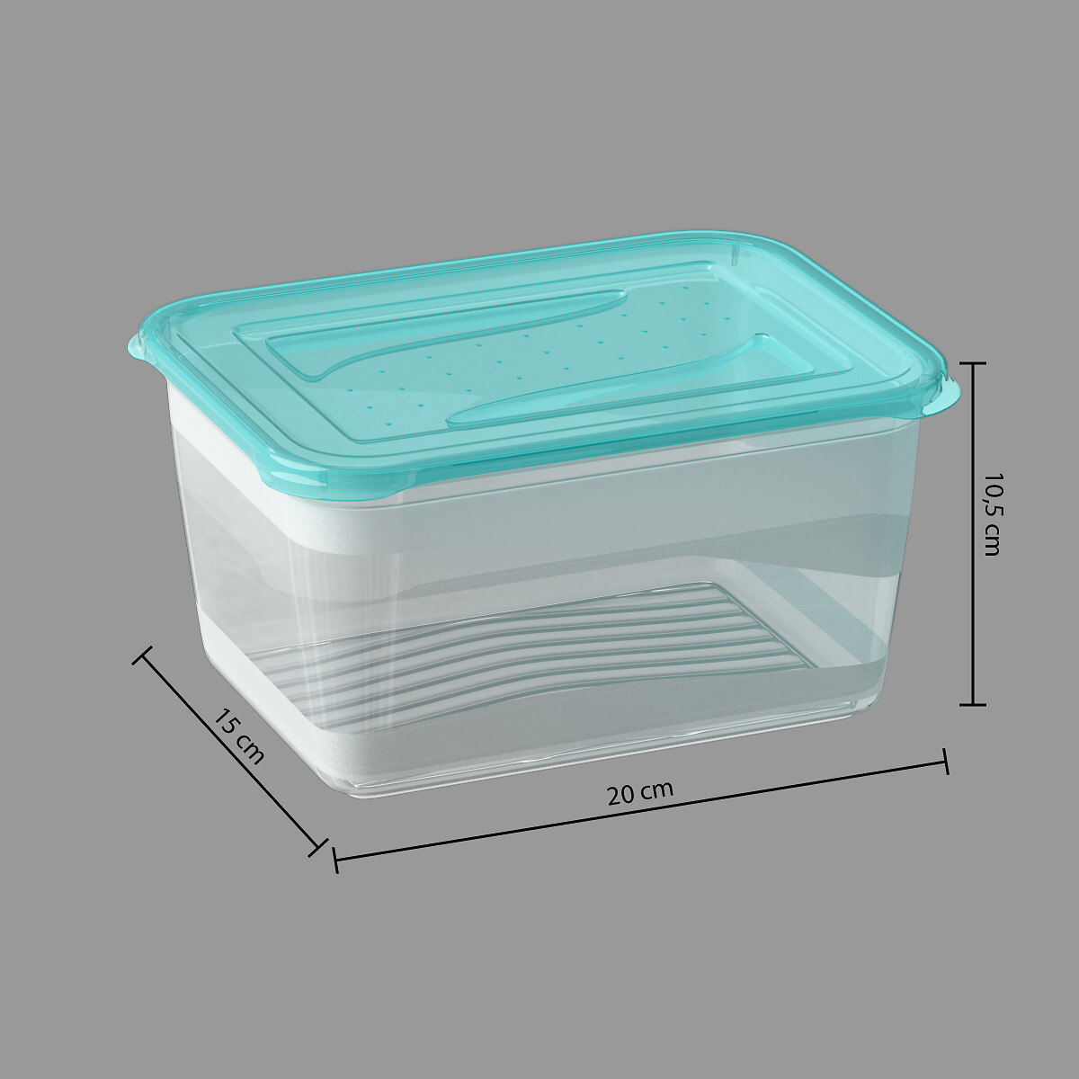 Conjunto de 2 caixas com tampa azul 2l