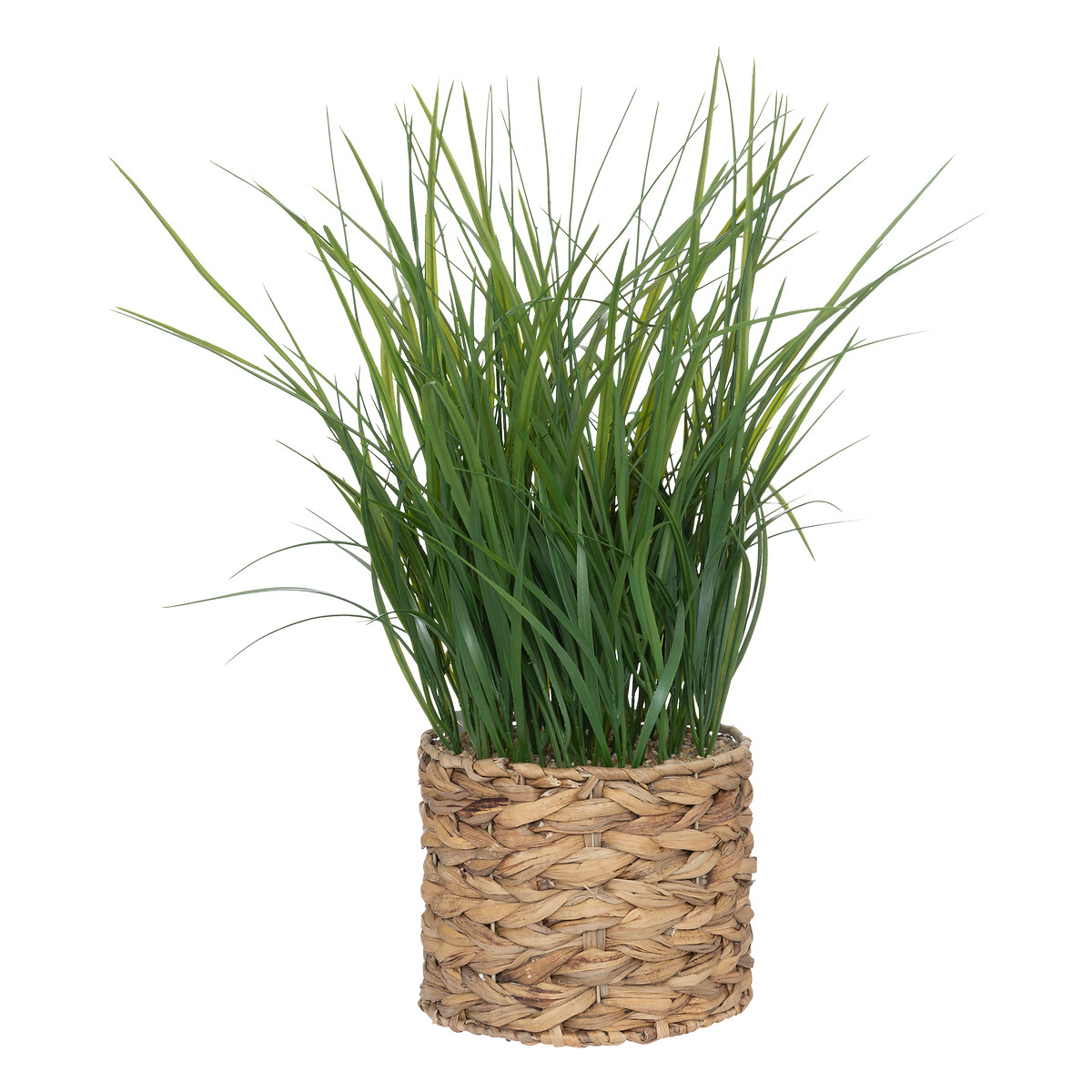 Vaso jacinto com ervas 70cm