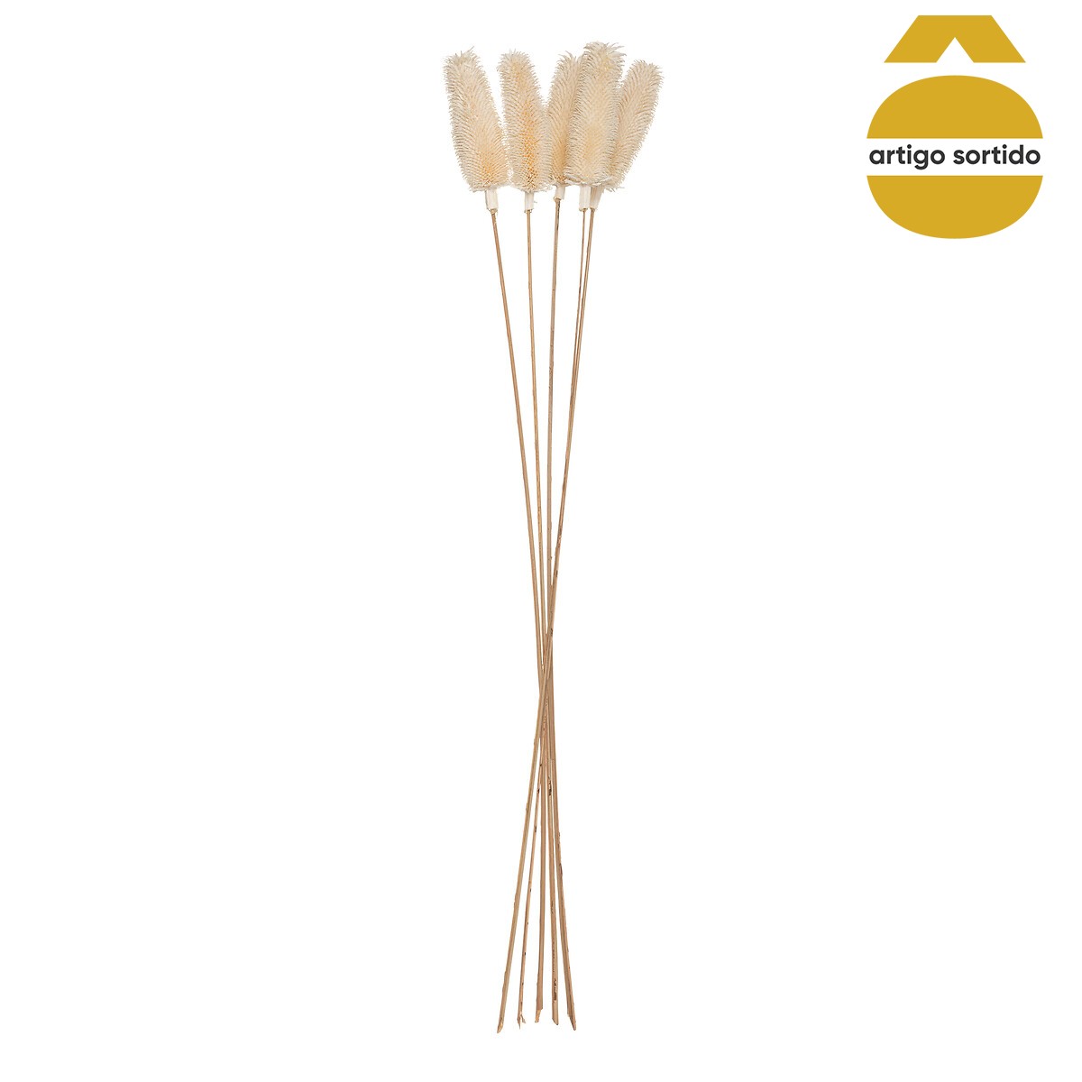 Bouquet de flores secas