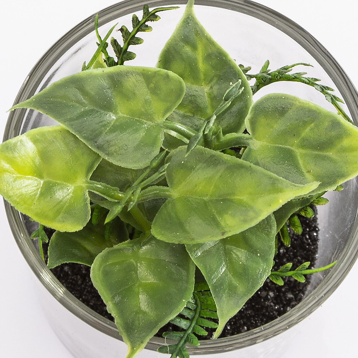Vaso de vidro com planta 9,5x7cm