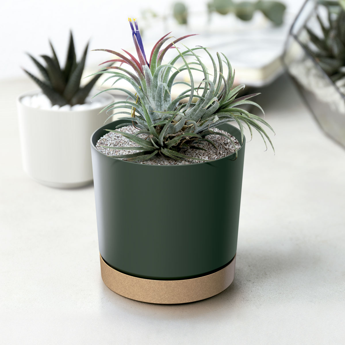 Vaso TUBO PM verde 15cm