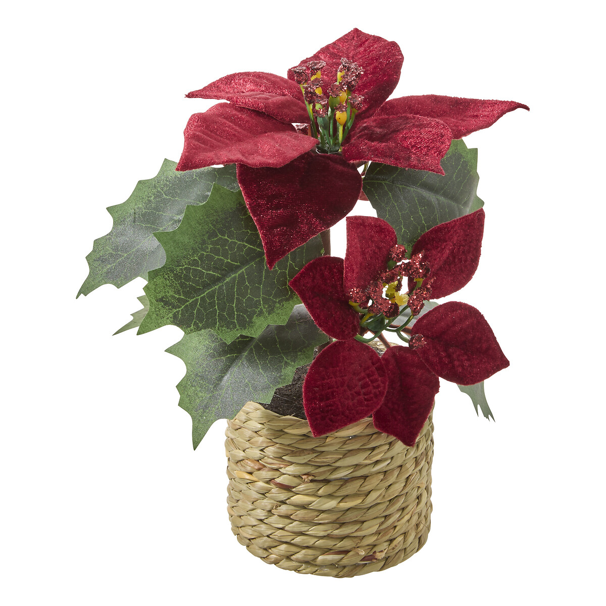 Vaso com poinsettia em veludo bordeaux 7.5x20cm