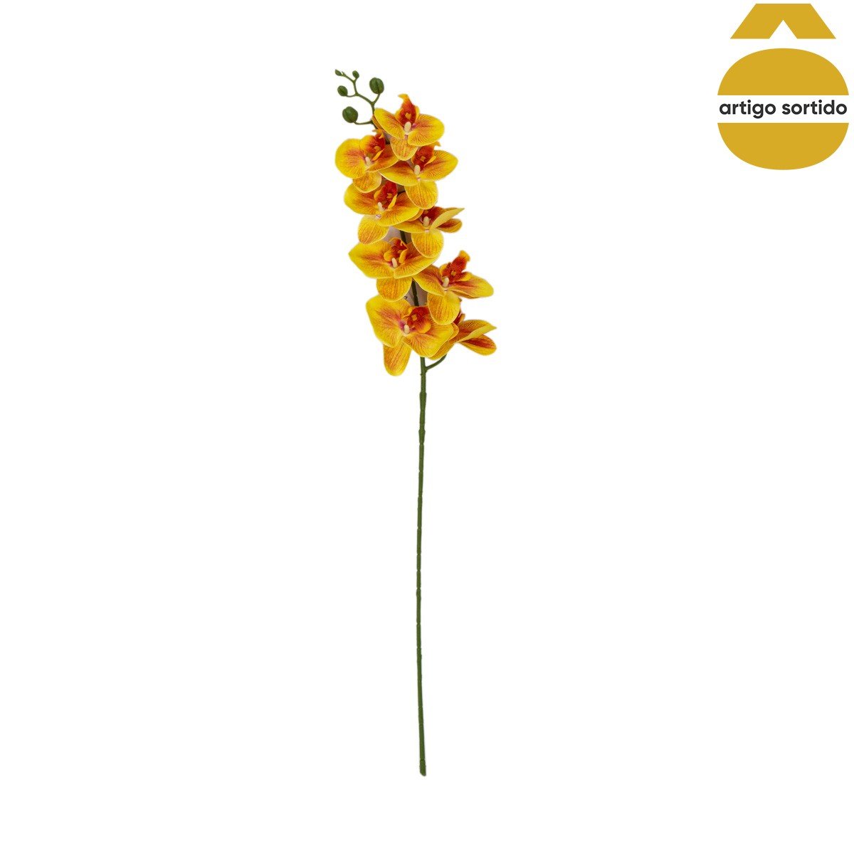 Haste de orqu&iacute;dea com toque natural