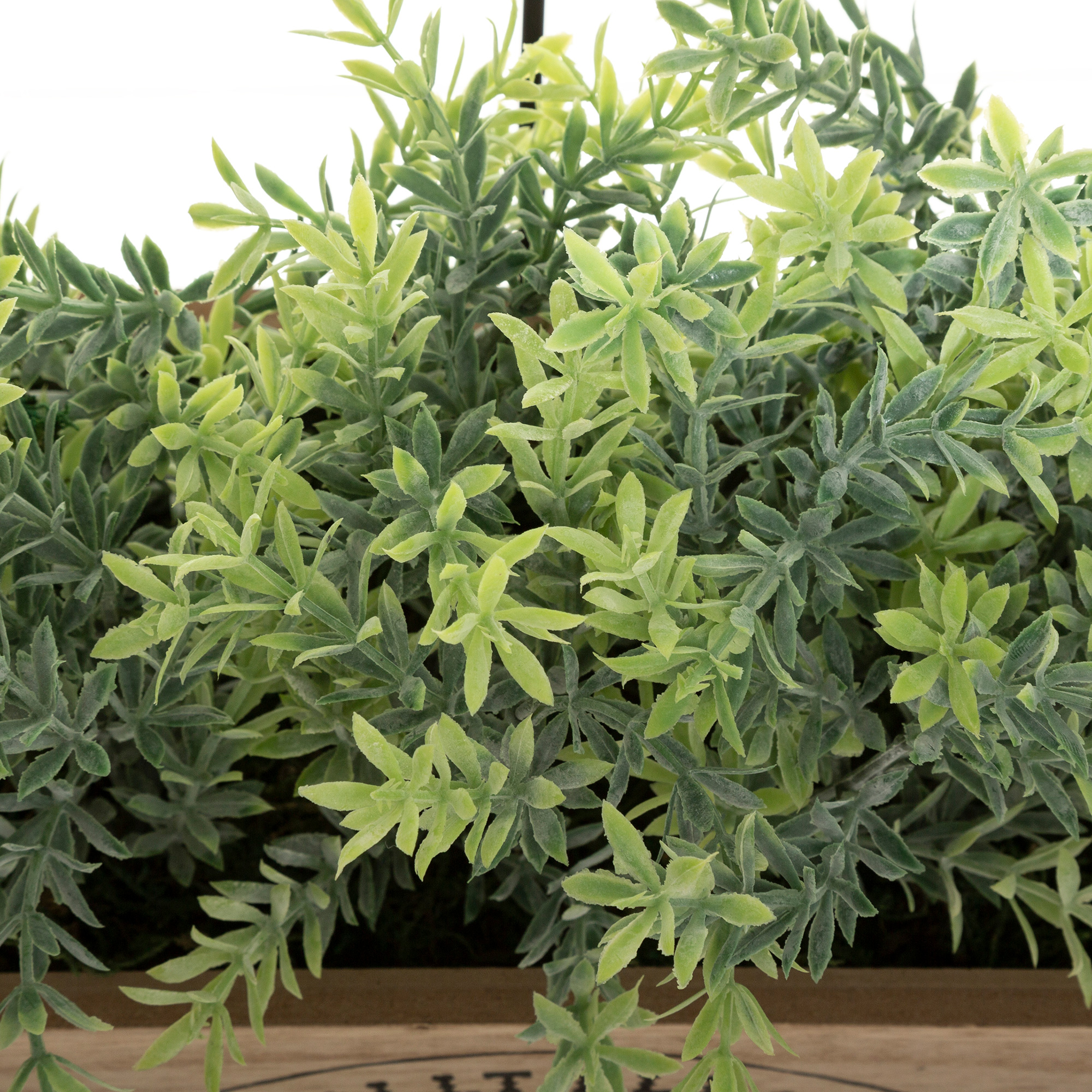 Floreira com plantas artificiais,  Floreira com plantas artificiais