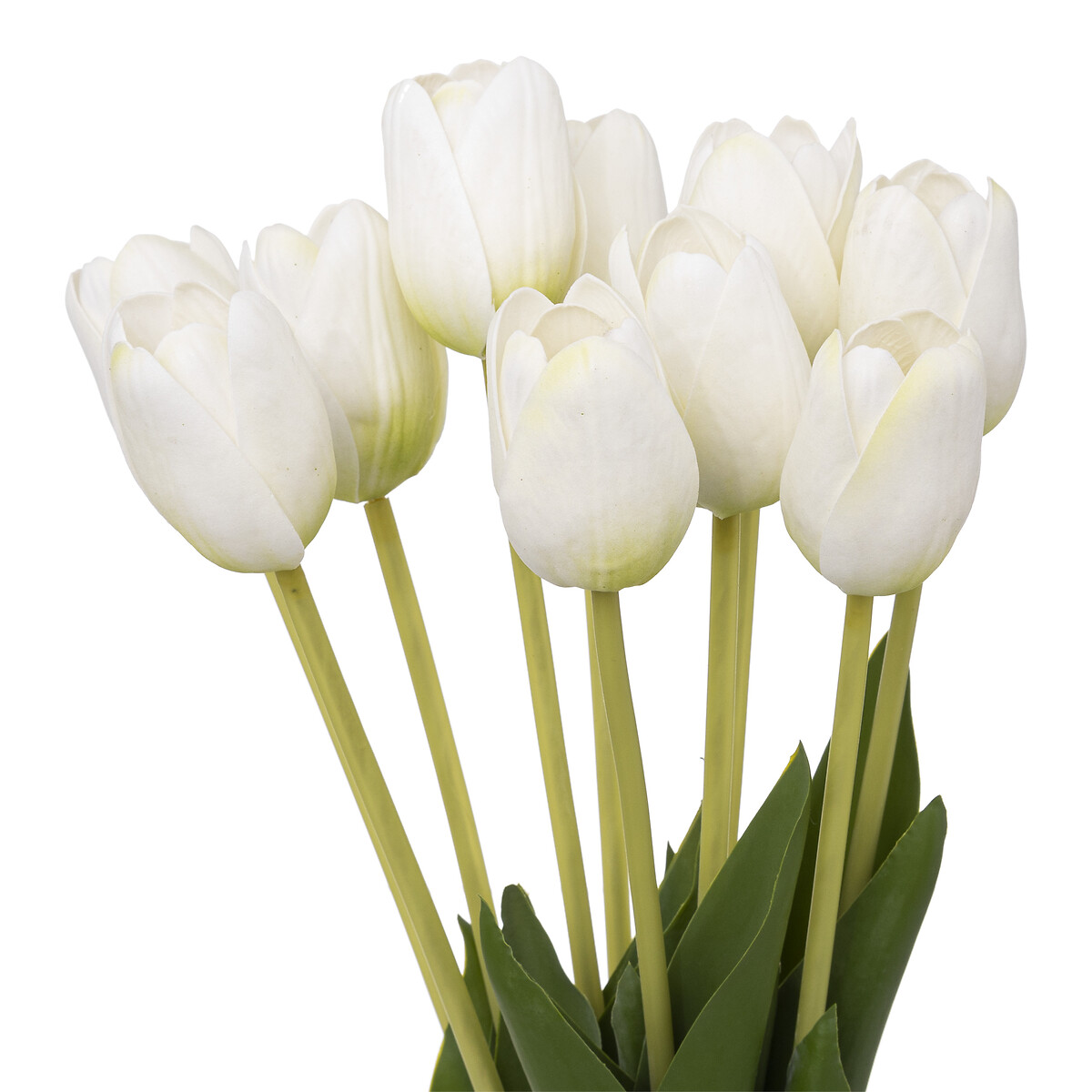 Bouquet com 10 tulipas brancas 48cm