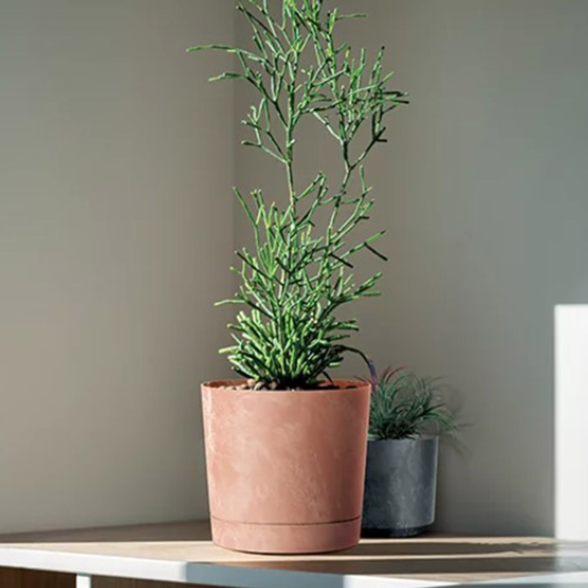 Vaso TUBO efeito bet&atilde;o terracota 15cm