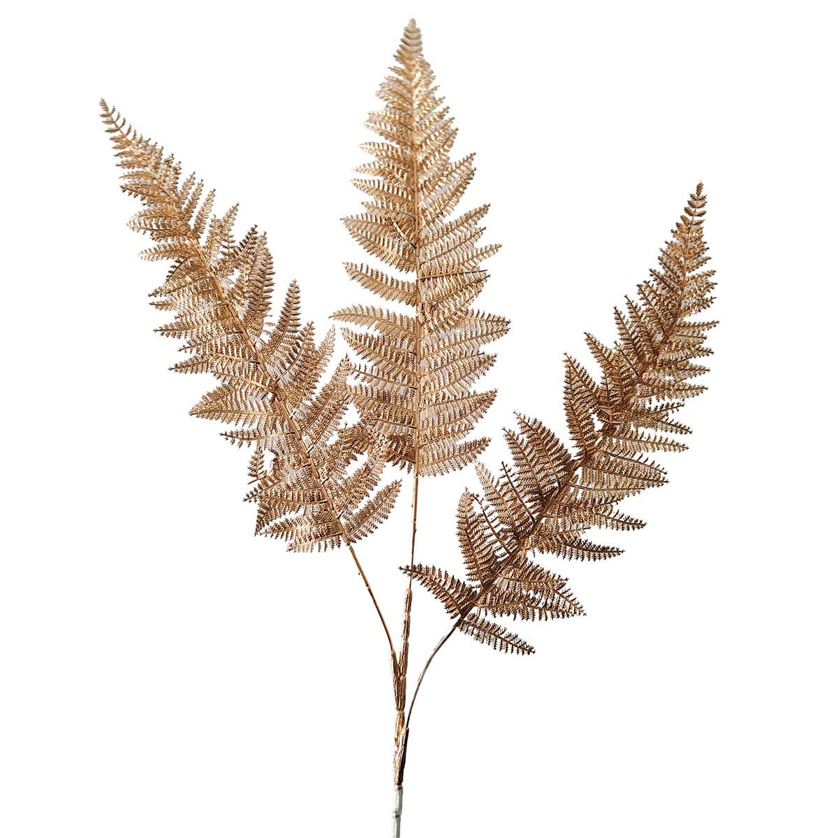 Haste de feto dourado 70cm
