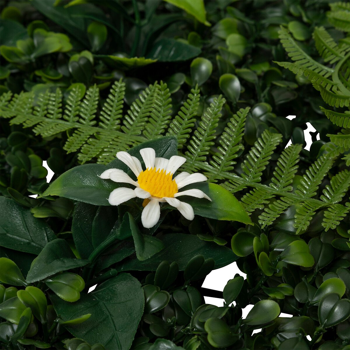 Jardim vertical JUNGLE IZY 50x50cm